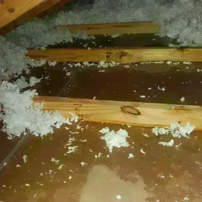 Attic Water Damage in Hillsboro, OH