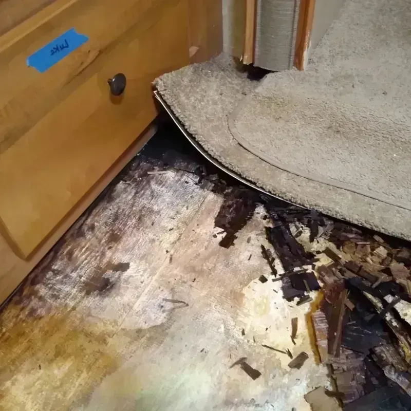 Wood Floor Water Damage in Hillsboro, OH